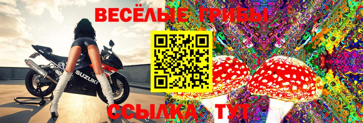 Галлюциногенные грибы мухоморы Карталы